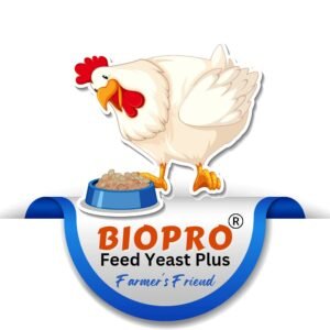 Feed Probiotic for Dairy and Poultry | Bio Pro Feed Yeast Plus 500gm