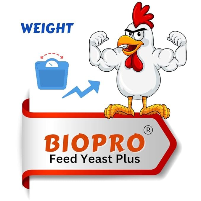 Feed Probiotic for Dairy and Poultry | Bio Pro Feed Yeast Plus 500gm