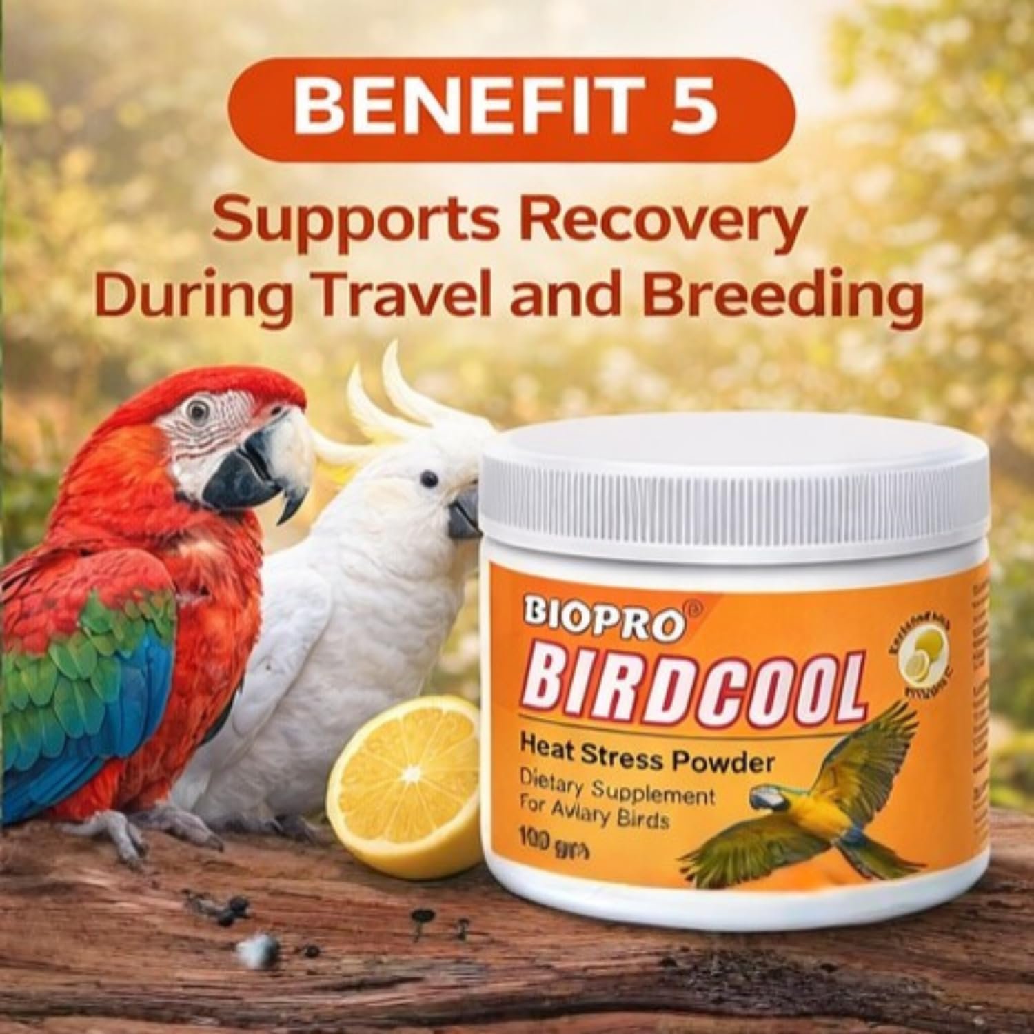 Biopro Birdcool Heat Stress Powder for Aviary Birds | Vitamin C & Electrolyte Supplement (100g) - Image 6