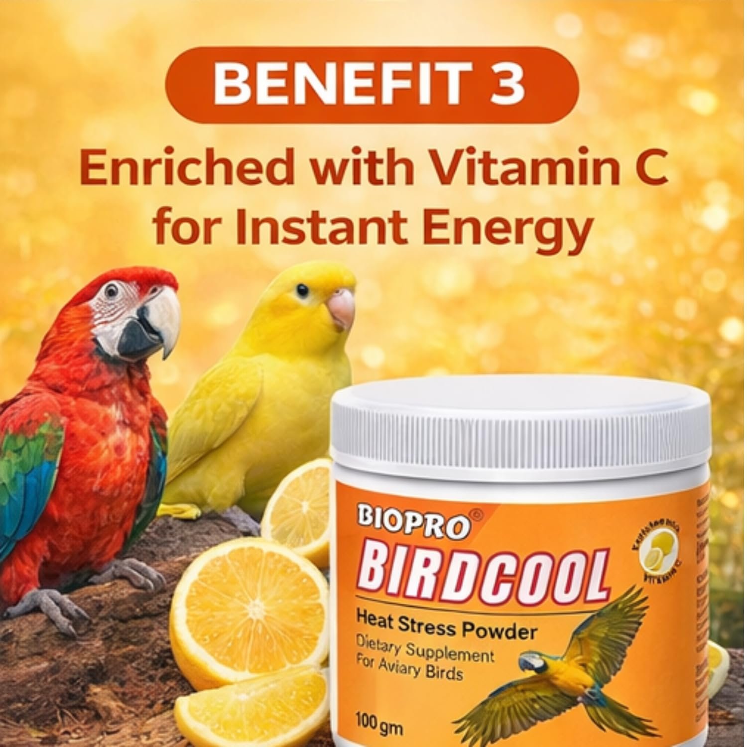 Biopro Birdcool Heat Stress Powder for Aviary Birds | Vitamin C & Electrolyte Supplement (100g) - Image 4