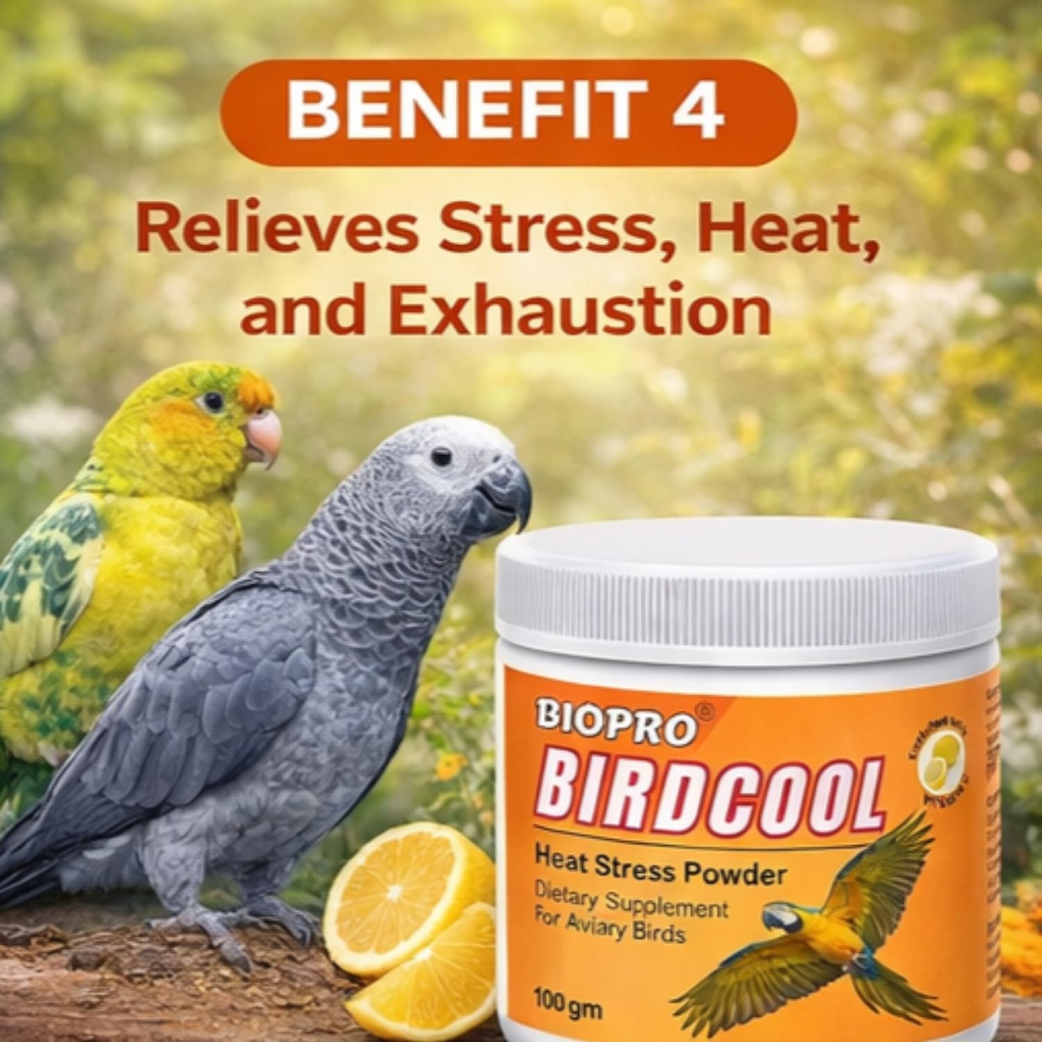 Biopro Birdcool Heat Stress Powder for Aviary Birds | Vitamin C & Electrolyte Supplement (100g) - Image 5